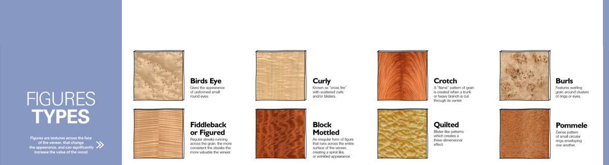 Wood Veneer Grain Patterns